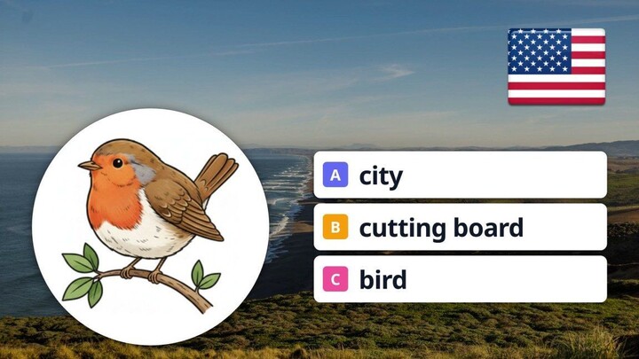 English Quiz A1: Can You Name These 4 Objects?