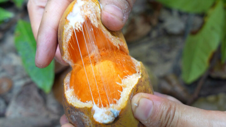 A particularly delicious wild fruit from the tropical rainforest, with a sweet, fragrant flavor that