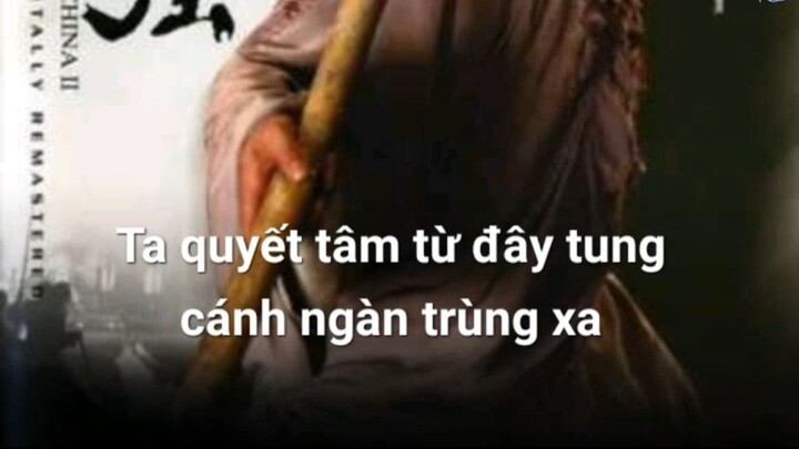 Hoang Phi Hong