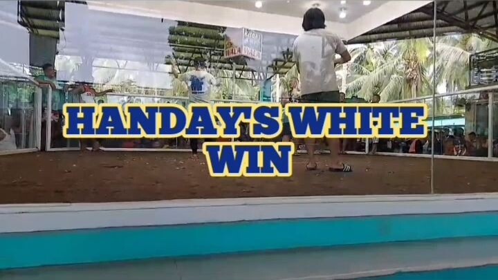 HANDAY'S WHITE WIN