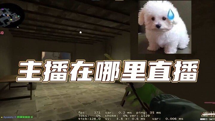Where is Wang Xishun livestreaming?