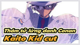 Thám tử lừng danh Conan
Kaito Kid cut
