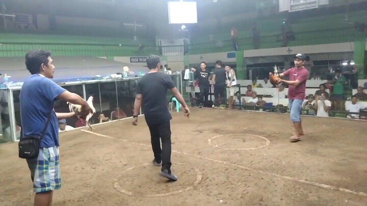 2nd fight 2 hits champion