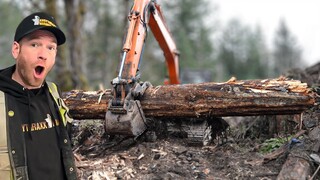 Clearing Gold Mine Finding Huge Valuable Timber (The Ghost Town In My Back Yard) E3