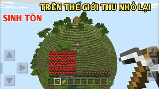 1 NGÀY SINH TỒN TRÊN QUẢ ĐỊA CẦU THU NHỎ LẠI || TRONG MINECRAFT PE