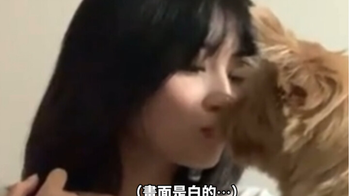Let's see how Hirai Momo teased the dog so much that she ended up getting bitten by it, haha