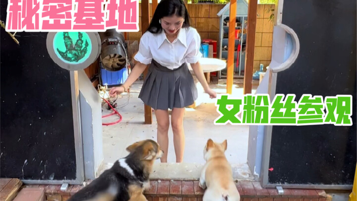 A female fan came to visit the secret base today... Let me show you what she did in the secret base?