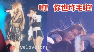 【BLACKPINK】笑出猪叫！你也炸毛啦！都是姐妹互嘲罢了