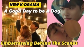 Highly Anticipated K-Drama this October