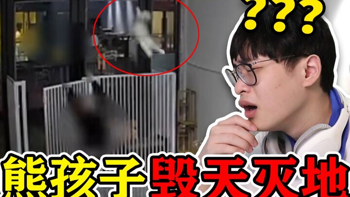 Đến cả mèo cũng không tha??? Điểm lại những khoảnh khắc “trẻ trâu” phá tan trời đất!