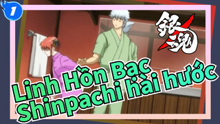 [Linh Hồn Bạc] Những cảnh vui nhộn trong anime (Phần 4) - Phúc lợi của Shinpachi_1