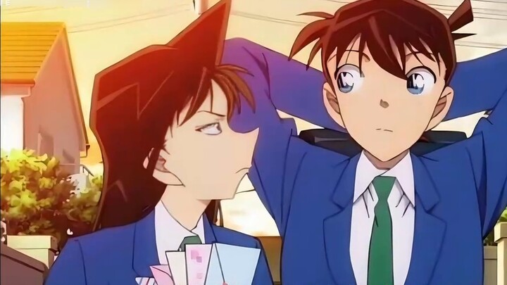 Don't call Shinichi and Ran the official pairing. There is no such thing as an official pairing for 