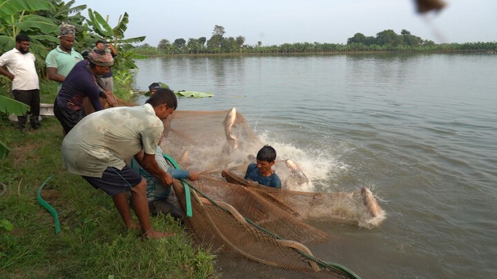 Bangladesh Fishing