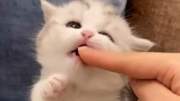 “So cute I forgot she even has long legs!”