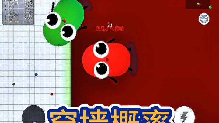 Bổ sung: Chỉ khi viền tường có màu xanh thì mới được mặc!