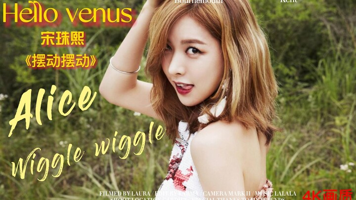 韩女团Hello venus 宋珠熙Alice《wiggle wiggle》加长版混剪