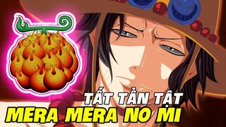 One Piece | Tất Tần Tật Về Trái Ác Quỷ Mera Mera No Mi | Sức Mạnh Hỏa Quyền Ace | Sabo