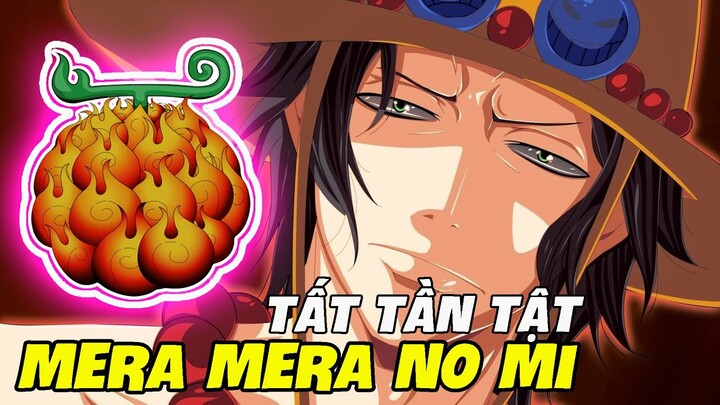 One Piece | Tất Tần Tật Về Trái Ác Quỷ Mera Mera No Mi | Sức Mạnh Hỏa Quyền Ace | Sabo