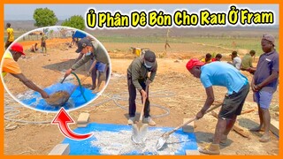 Quanglinhvlogs || Hướng Dẫn Cách Ủ Phân Dê Để Bón Cho Rau ở Farm