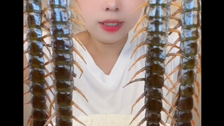 "Dark Web Players' Crazy Recipe"