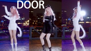 【崽崽】Door❤️白喵喵还是黑喵喵 ❤ 咚咚咚 万圣节的夜晚 敢给喵喵开门吗 权恩妃猫爪舞翻跳❤