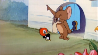 Mistakenly mistook a mouse for my mother