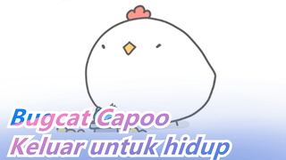 Bugcat Capoo| Keluar untuk hidup dan akan kembali pada akhirnya