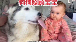 狗狗竟然会主动照顾家里的小宝宝，你见过这么懂事的狗子吗？