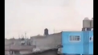 狗:知道炸我饭碗的后果了吧!