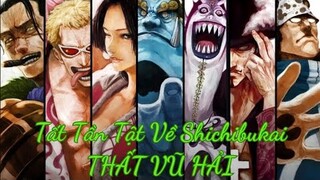 Tất Tần Tật Về THẤT VŨ HẢI(SHICHIBUKAI) - "Chó Săn" Của Chính Phủ |ONE PIECE|GSANIME.