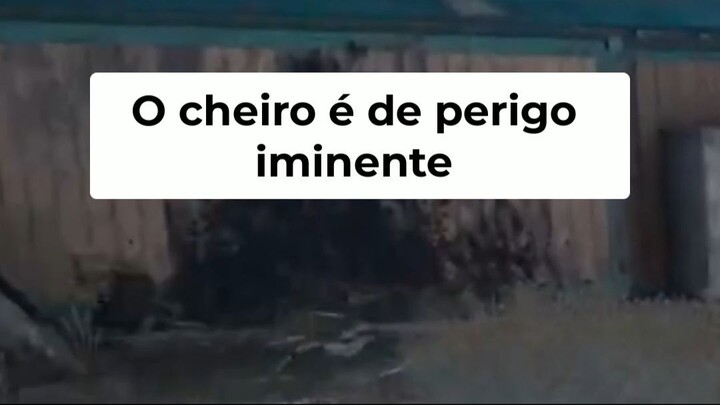 Deacon Queima Ninhos! Prepare-se para o Inferno!