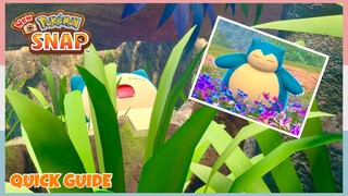 How To Take D Snorlax Route At Florio Secret Side Path *Day/Night* | New Pokemon Snap - Quick Guide