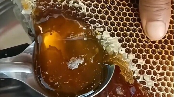 ทำไมน้ำผึ้งถึงสามารถเก็บรักษาได้ตลอดกาล?