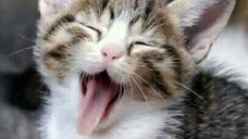 Isekai Cheat Magician Episode 1 English Dubbed