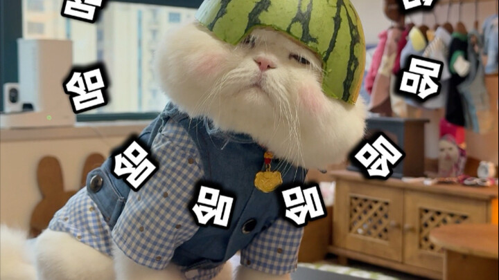 I almost fainted from laughing again