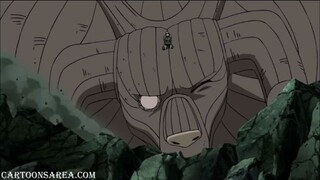 NARUTO SHIPPUDEN SHORTS