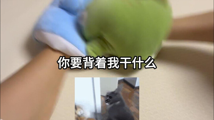 When My Girlfriend Finds Out I’ve Started Dressing Up Lately…