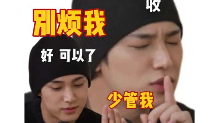 拒绝内耗！填词 Sweet Venom 《别烦我 少管我》