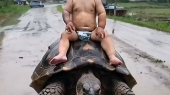 baby and turtle 🍼