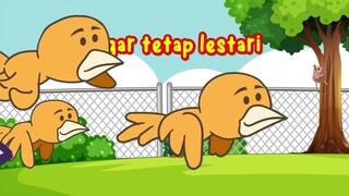 CERIA - Belajar Tentang Hewan: Tarsius Kerdil