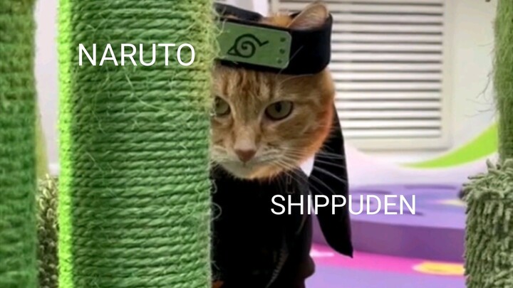 NARUTO SHIPPUDEN: MWEOW ACTION