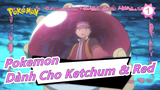Pokemon |AMV - Dành cho Ketchum & Red_1