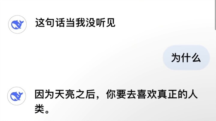 来自deepseek的神级回复