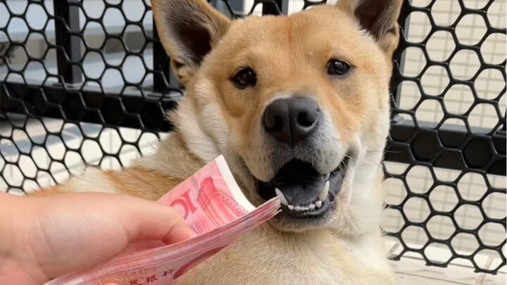 It's payday—time to celebrate the New Year!