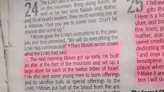 Daily Verse.                  Exodus 24:5-8