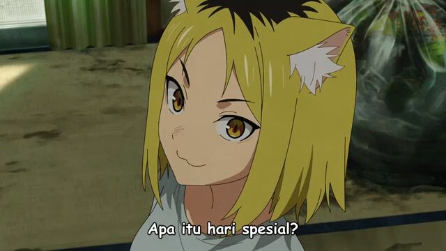 chainsmoker cat episode 8 sub indo