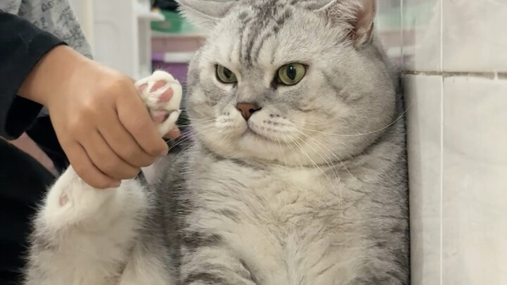 Dazhuang got angry when he smelled his own feet.