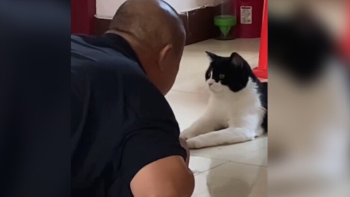 每个人喜欢猫的方式都不一样