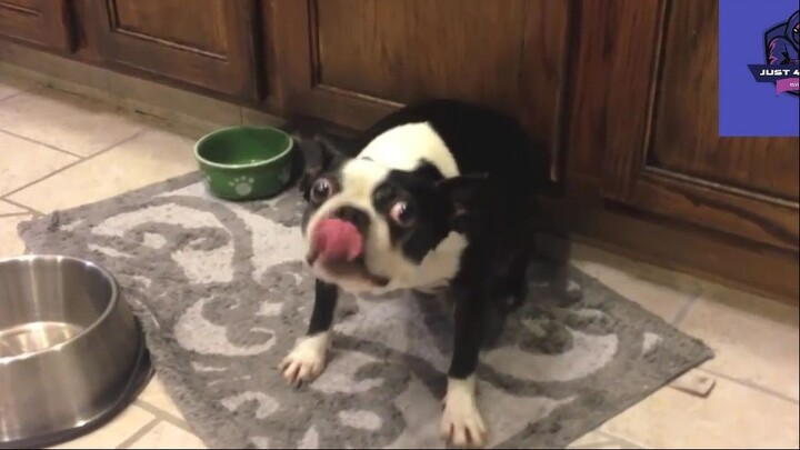 Cười mỗi ngày cùng tôi ! #videohaihuoc