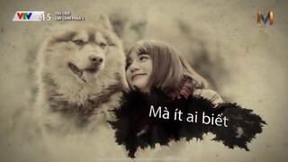 Mật Alaska - Sự ra đi cảm động chú chó nổi tiếng nhất VIệt Nam - đến phút thứ 16 tôi đã khóc